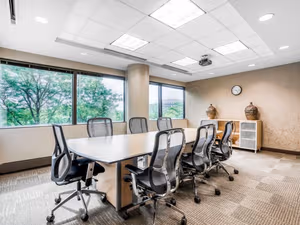 1 Person Virtual Office