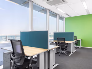 1 Person Virtual Office