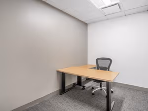 1 Person Virtual Office