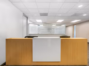 1 Person Virtual Office