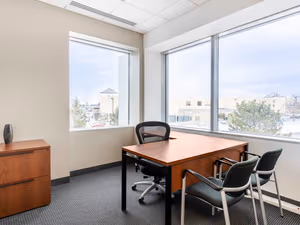 1 Person Virtual Office