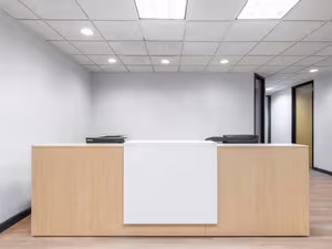 1 Person Virtual Office