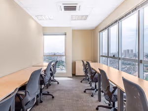 1 Person Virtual Office