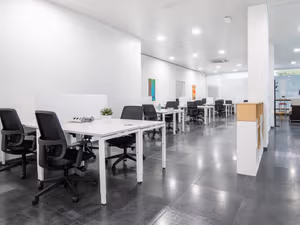 1 Person Virtual Office