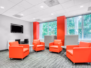 1 Person Virtual Office