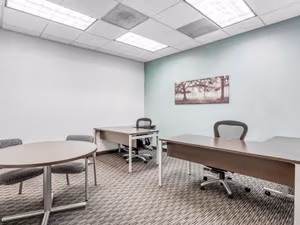 1 Person Virtual Office