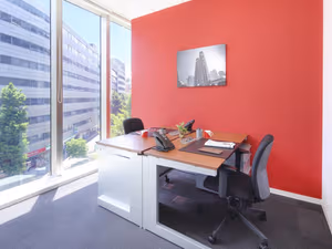 1 Person Virtual Office