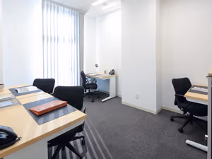 1 Person Virtual Office