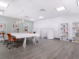 1 Person Virtual Office