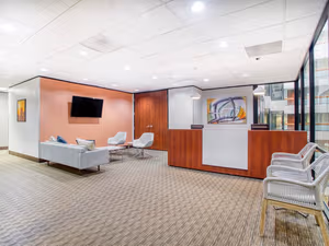 1 Person Virtual Office