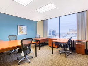 1 Person Virtual Office