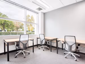 1 Person Virtual Office