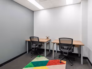 1 Person Virtual Office