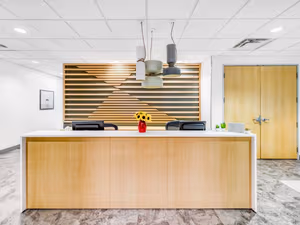 1 Person Virtual Office