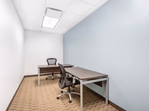 1 Person Virtual Office