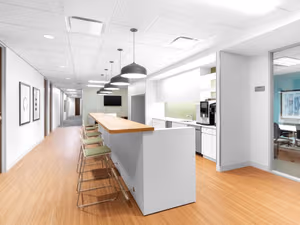 1 Person Virtual Office