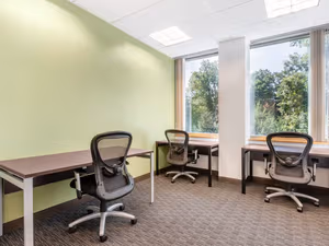 1 Person Virtual Office