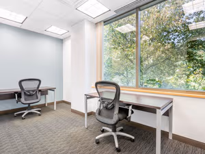 2 Person Private Office