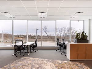 1 Person Virtual Office