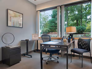 1 Person Virtual Office