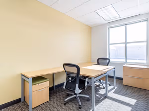 1 Person Virtual Office