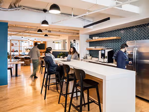 1 Person Virtual Office