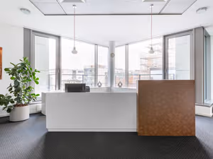 1 Person Virtual Office