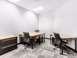 1 Person Virtual Office