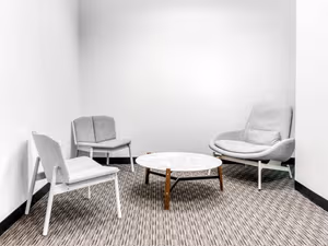 1 Person Virtual Office