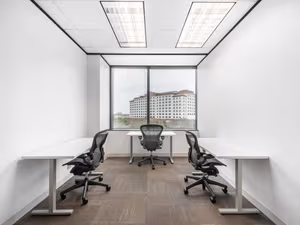 1 Person Virtual Office