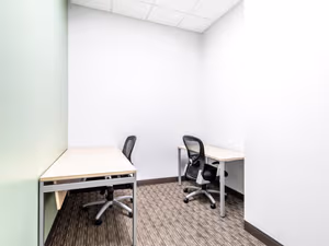1 Person Virtual Office