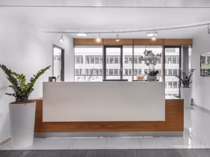 1 Person Virtual Office