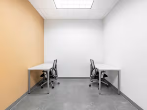 1 Person Virtual Office