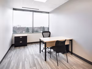 1 Person Virtual Office