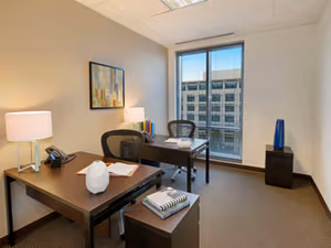 1 Person Virtual Office