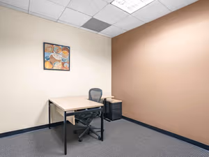 1 Person Virtual Office