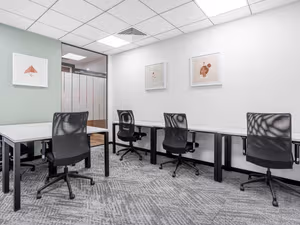 1 Person Virtual Office