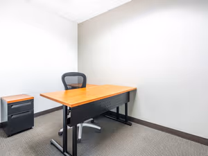1 Person Virtual Office