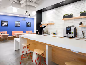 1 Person Virtual Office