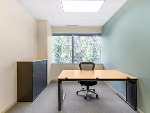 1 Person Virtual Office