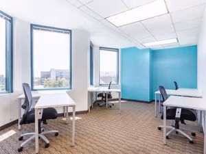 1 Person Virtual Office