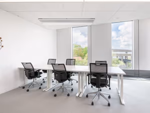 1 Person Virtual Office