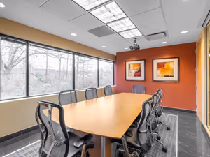 1 Person Virtual Office