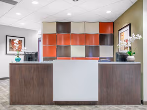 1 Person Virtual Office