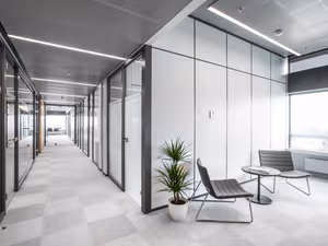 1 Person Virtual Office