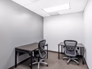 1 Person Virtual Office