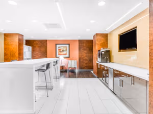 1 Person Virtual Office