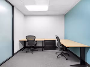 1 Person Virtual Office