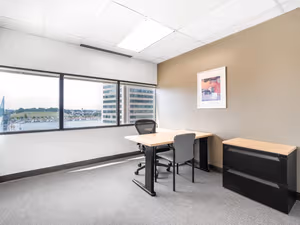 1 Person Virtual Office