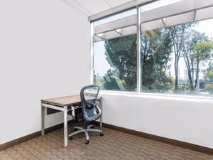 1 Person Virtual Office